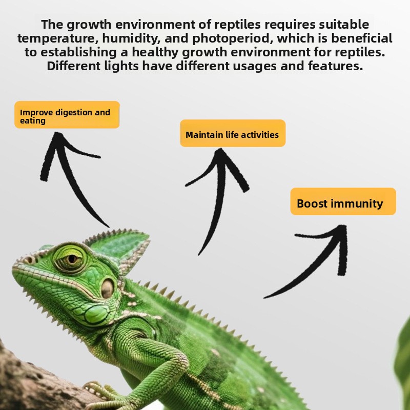 Barbarous Growth Reptile UVA B - đánh giá và giá Gecko Lighting & Decor