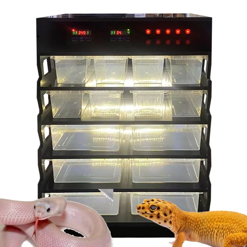 Intelligent PVC Reptile Furnit - đánh giá và giá Gecko Lighting & Decor