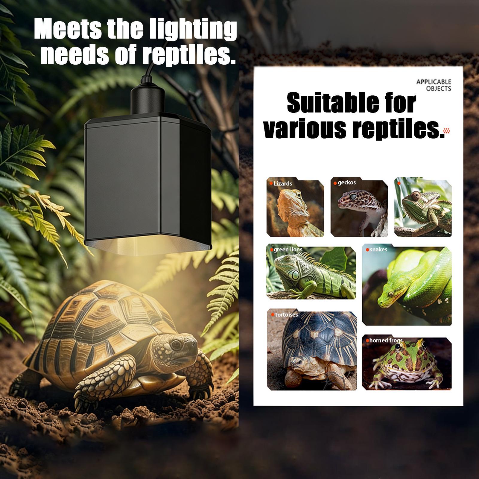 Heat Lamp Shade For Reptiles T - đánh giá và giá Gecko Lighting & Decor