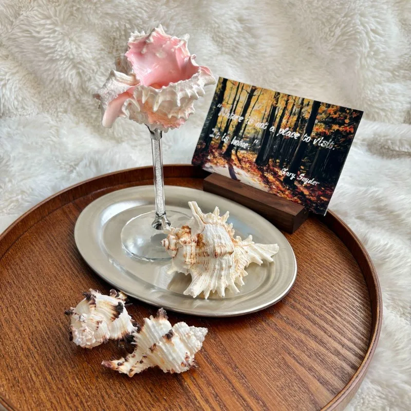 Light Luxury Conch Shell Champ - đánh giá và giá Lighting Home Decor Ideas